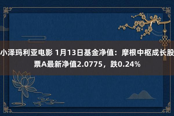 小泽玛利亚电影 1月13日基金净值：摩根中枢成长股票A最新净值2.0775，跌0.24%