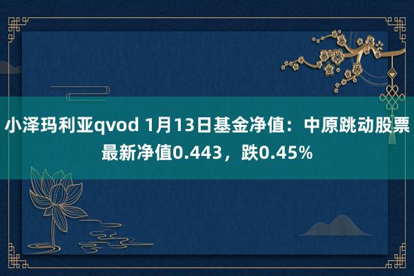 小泽玛利亚qvod 1月13日基金净值：中原跳动股票最新净值0.443，跌0.45%