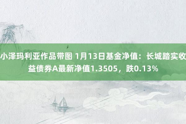 小泽玛利亚作品带图 1月13日基金净值：长城踏实收益债券A最新净值1.3505，跌0.13%
