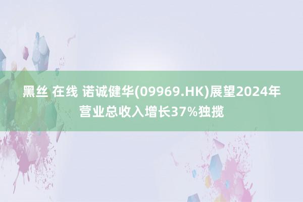 黑丝 在线 诺诚健华(09969.HK)展望2024年营业总收入增长37%独揽