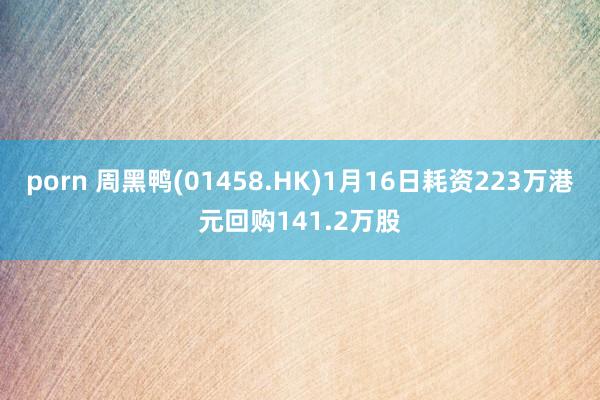 porn 周黑鸭(01458.HK)1月16日耗资223万港元回购141.2万股