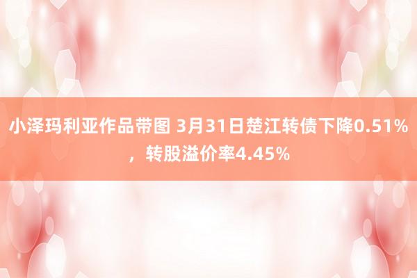 小泽玛利亚作品带图 3月31日楚江转债下降0.51%，转股溢价率4.45%