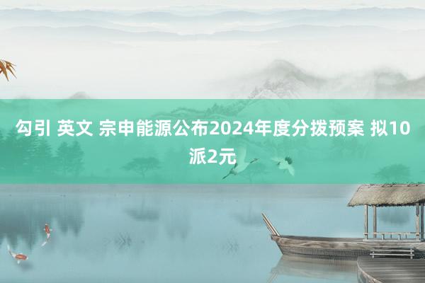 勾引 英文 宗申能源公布2024年度分拨预案 拟10派2元