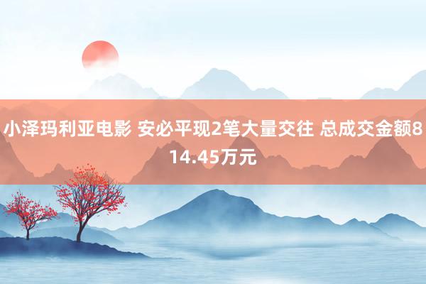 小泽玛利亚电影 安必平现2笔大量交往 总成交金额814.45万元