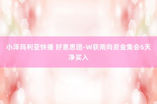 小泽玛利亚快播 好意思团-W获南向资金集会6天净买入