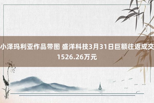 小泽玛利亚作品带图 盛洋科技3月31日巨额往返成交1526.26万元