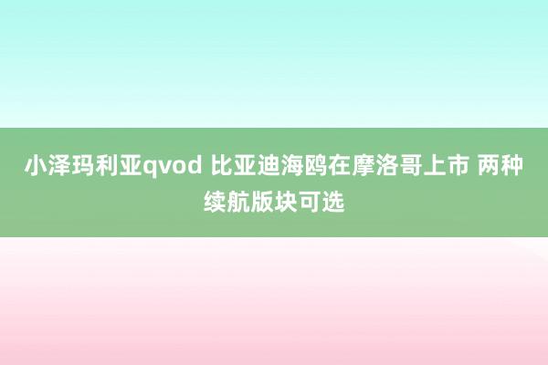 小泽玛利亚qvod 比亚迪海鸥在摩洛哥上市 两种续航版块可选