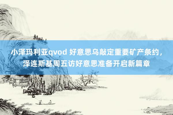 小泽玛利亚qvod 好意思乌敲定重要矿产条约，泽连斯基周五访好意思准备开启新篇章