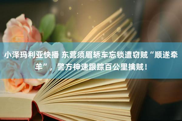 小泽玛利亚快播 东营须眉轿车忘锁遭窃贼“顺遂牵羊”，警方神速跟踪百公里擒贼！