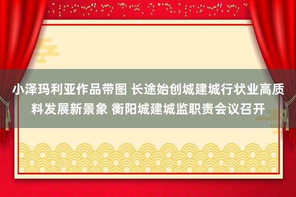 小泽玛利亚作品带图 长途始创城建城行状业高质料发展新景象 衡阳城建城监职责会议召开