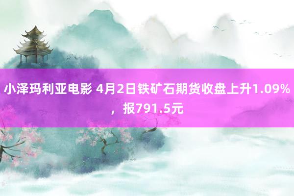 小泽玛利亚电影 4月2日铁矿石期货收盘上升1.09%，报791.5元