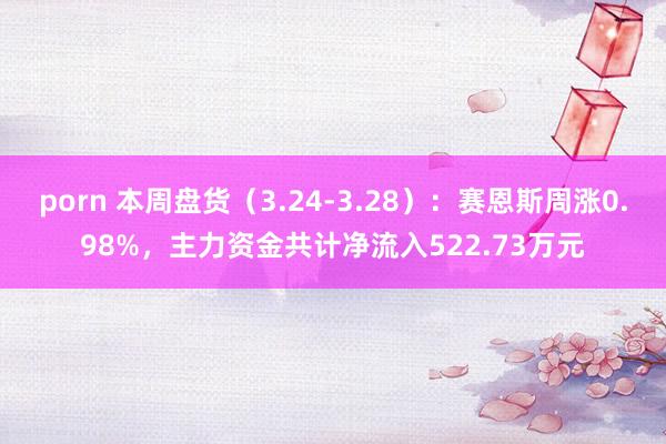 porn 本周盘货（3.24-3.28）：赛恩斯周涨0.98%，主力资金共计净流入522.73万元