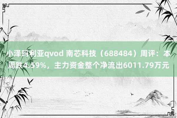 小泽玛利亚qvod 南芯科技（688484）周评：本周跌4.59%，主力资金整个净流出6011.79万元