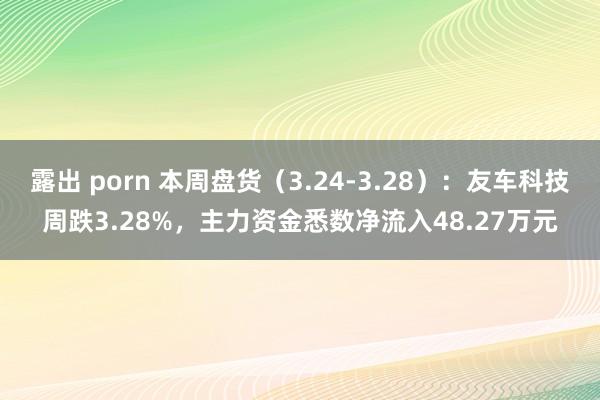 露出 porn 本周盘货（3.24-3.28）：友车科技周跌3.28%，主力资金悉数净流入48.27万元