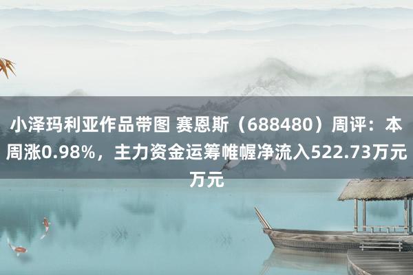 小泽玛利亚作品带图 赛恩斯（688480）周评：本周涨0.98%，主力资金运筹帷幄净流入522.73万元