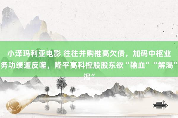 小泽玛利亚电影 往往并购推高欠债，加码中枢业务功绩遭反噬，隆平高科控股股东欲“输血”“解渴”