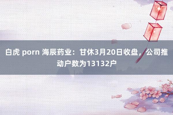 白虎 porn 海辰药业：甘休3月20日收盘，公司推动户数为13132户