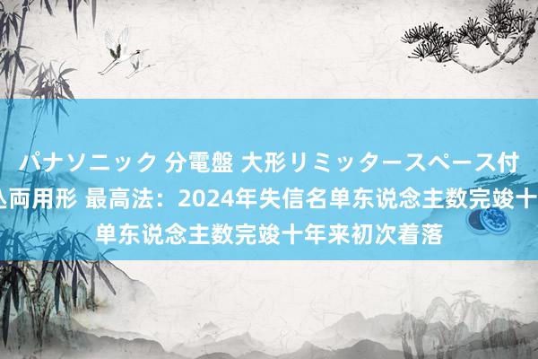 パナソニック 分電盤 大形リミッタースペース付 露出・半埋込両用形 最高法：2024年失信名单东说念主数完竣十年来初次着落