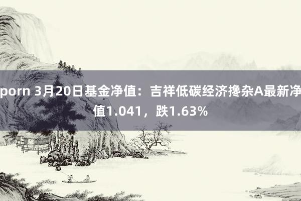 porn 3月20日基金净值：吉祥低碳经济搀杂A最新净值1.041，跌1.63%