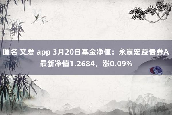 匿名 文爱 app 3月20日基金净值：永赢宏益债券A最新净值1.2684，涨0.09%