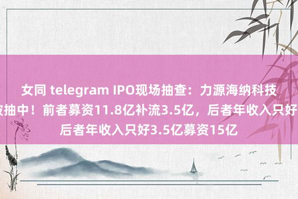 女同 telegram IPO现场抽查：力源海纳科技、强一半导体被抽中！前者募资11.8亿补流3.5亿，后者年收入只好3.5亿募资15亿