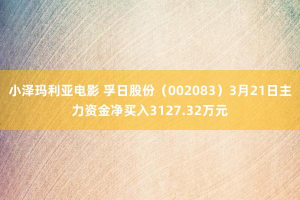 小泽玛利亚电影 孚日股份（002083）3月21日主力资金净买入3127.32万元