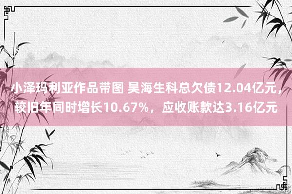 小泽玛利亚作品带图 昊海生科总欠债12.04亿元，较旧年同时增长10.67%，应收账款达3.16亿元
