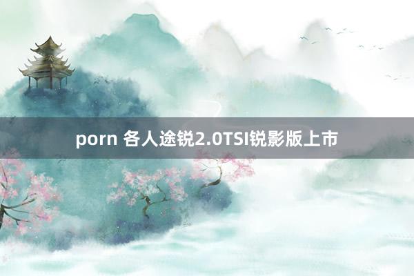 porn 各人途锐2.0TSI锐影版上市