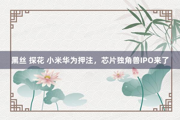 黑丝 探花 小米华为押注，芯片独角兽IPO来了