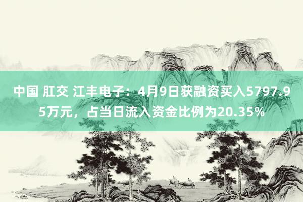 中国 肛交 江丰电子：4月9日获融资买入5797.95万元，占当日流入资金比例为20.35%