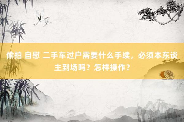 偷拍 自慰 二手车过户需要什么手续，必须本东谈主到场吗？怎样操作？