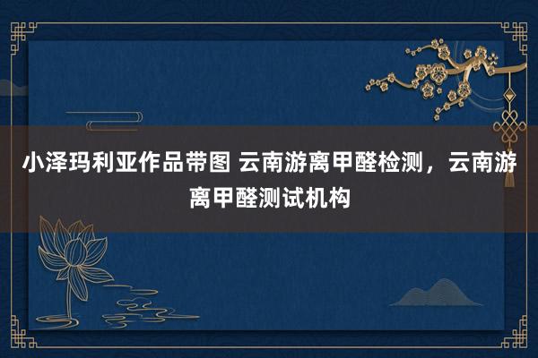 小泽玛利亚作品带图 云南游离甲醛检测，云南游离甲醛测试机构