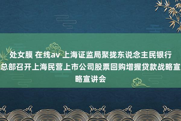 处女膜 在线av 上海证监局聚拢东说念主民银行上海总部召开上海民营上市公司股票回购增握贷款战略宣讲会