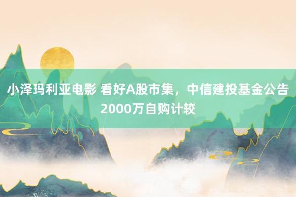 小泽玛利亚电影 看好A股市集，中信建投基金公告2000万自购计较