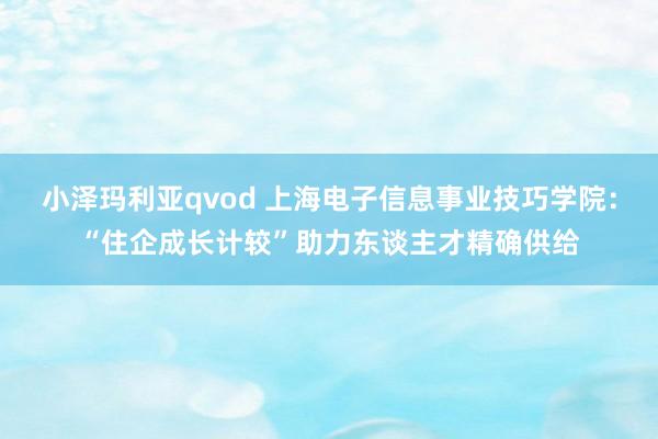 小泽玛利亚qvod 上海电子信息事业技巧学院：“住企成长计较”助力东谈主才精确供给