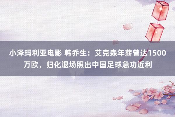 小泽玛利亚电影 韩乔生：艾克森年薪曾达1500万欧，归化退场照出中国足球急功近利