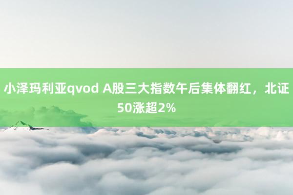 小泽玛利亚qvod A股三大指数午后集体翻红，北证50涨超2%