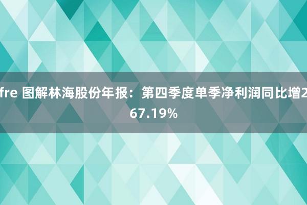 fre 图解林海股份年报：第四季度单季净利润同比增267.19%