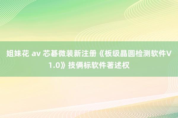 姐妹花 av 芯碁微装新注册《板级晶圆检测软件V1.0》技俩标软件著述权