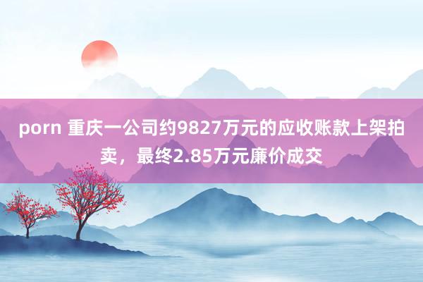 porn 重庆一公司约9827万元的应收账款上架拍卖，最终2.85万元廉价成交