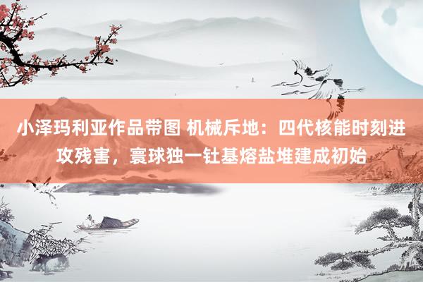 小泽玛利亚作品带图 机械斥地：四代核能时刻进攻残害，寰球独一钍基熔盐堆建成初始