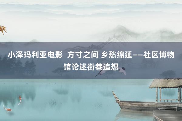 小泽玛利亚电影  方寸之间 乡愁绵延——社区博物馆论述街巷追想