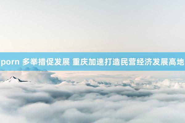 porn 多举措促发展 重庆加速打造民营经济发展高地