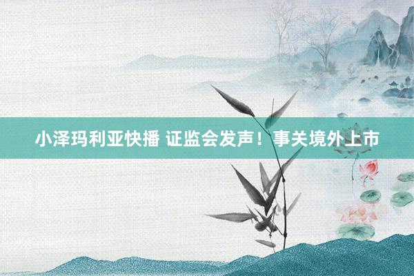 小泽玛利亚快播 证监会发声！事关境外上市