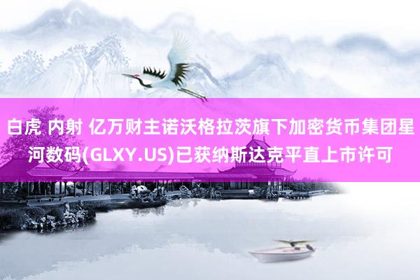 白虎 内射 亿万财主诺沃格拉茨旗下加密货币集团星河数码(GLXY.US)已获纳斯达克平直上市许可