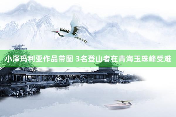 小泽玛利亚作品带图 3名登山者在青海玉珠峰受难