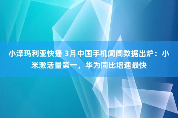 小泽玛利亚快播 3月中国手机阛阓数据出炉：小米激活量第一，华为同比增速最快