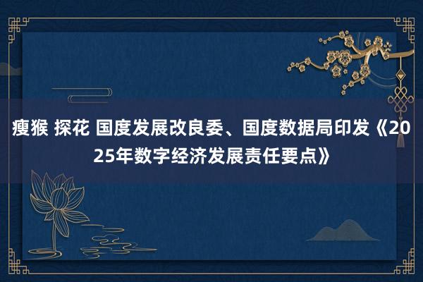 瘦猴 探花 国度发展改良委、国度数据局印发《2025年数字经济发展责任要点》