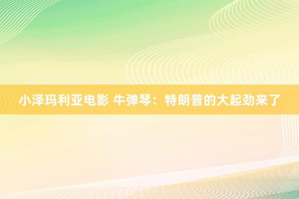 小泽玛利亚电影 牛弹琴：特朗普的大起劲来了