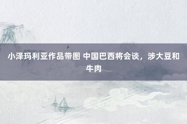 小泽玛利亚作品带图 中国巴西将会谈，涉大豆和牛肉